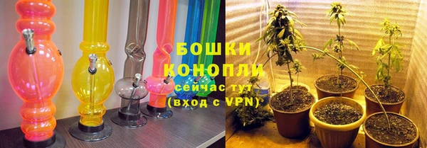 ПСИЛОЦИБИНОВЫЕ ГРИБЫ Нея