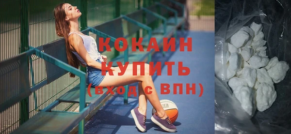 прущие грибы Наволоки